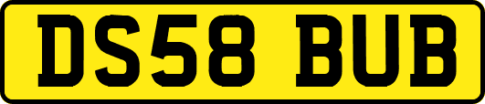 DS58BUB
