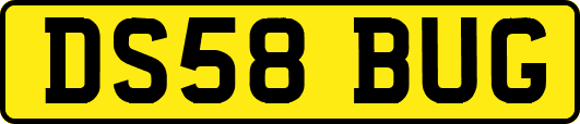 DS58BUG