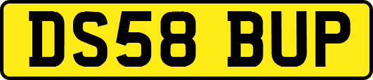 DS58BUP