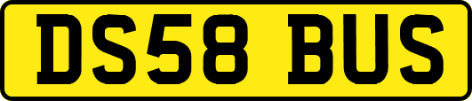 DS58BUS