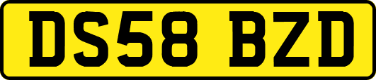 DS58BZD