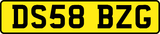 DS58BZG