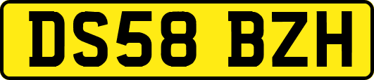 DS58BZH