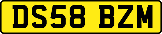 DS58BZM