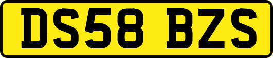 DS58BZS