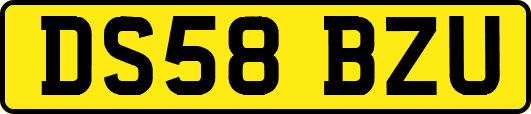 DS58BZU
