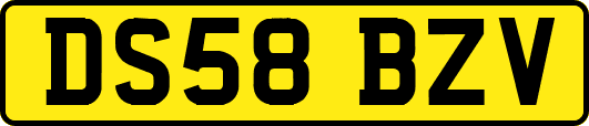 DS58BZV