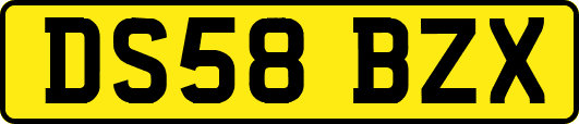 DS58BZX