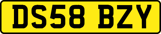 DS58BZY