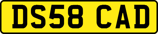 DS58CAD