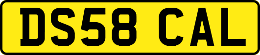 DS58CAL