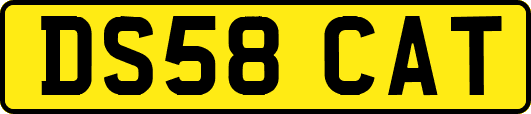 DS58CAT