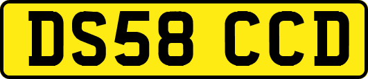 DS58CCD