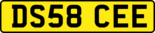 DS58CEE