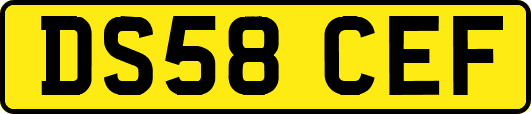 DS58CEF