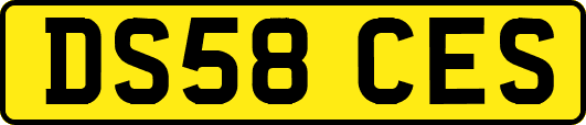 DS58CES