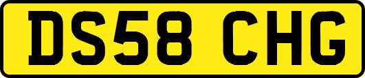 DS58CHG