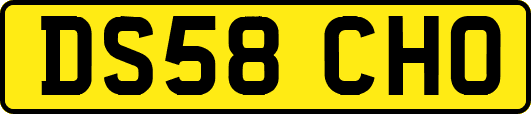 DS58CHO