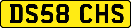 DS58CHS