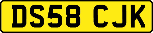 DS58CJK