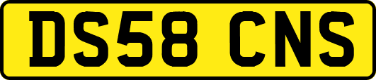 DS58CNS