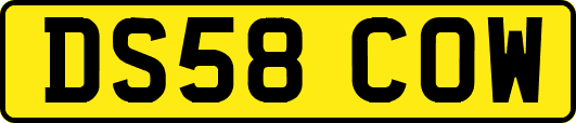 DS58COW
