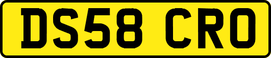 DS58CRO