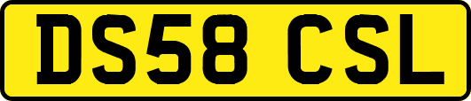 DS58CSL