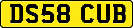 DS58CUB