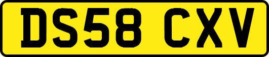 DS58CXV