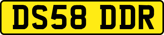 DS58DDR