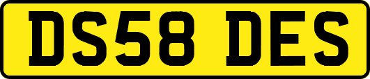 DS58DES