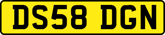 DS58DGN