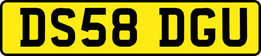 DS58DGU