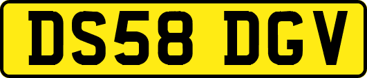 DS58DGV