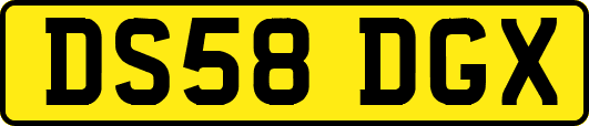 DS58DGX