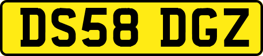 DS58DGZ