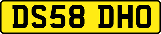 DS58DHO