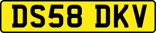 DS58DKV