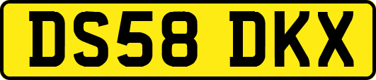 DS58DKX