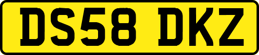 DS58DKZ
