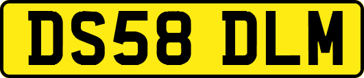 DS58DLM