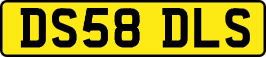 DS58DLS