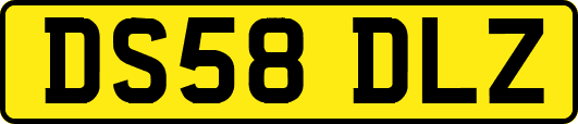 DS58DLZ