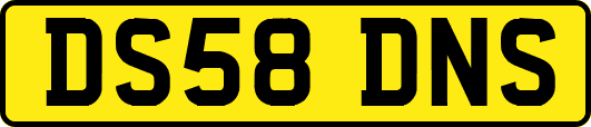 DS58DNS