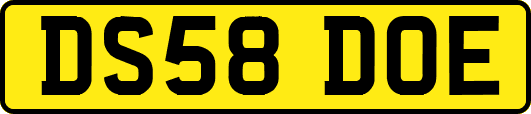 DS58DOE