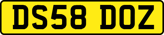 DS58DOZ