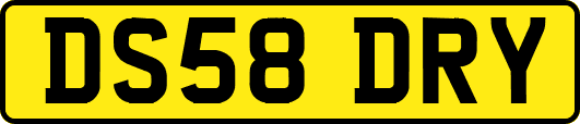 DS58DRY
