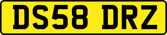 DS58DRZ