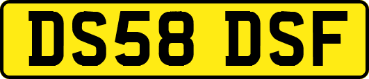 DS58DSF